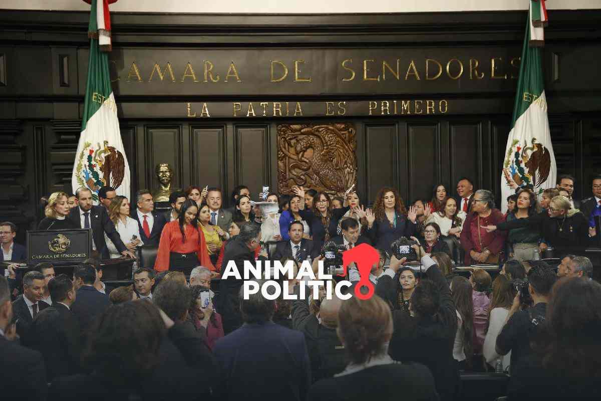 Morena consigue los votos: el Senado aprueba la reforma judicial