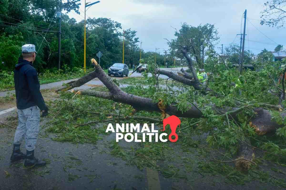 Tormenta "John" deja 16 muertos; comunidades incomunicadas en Oaxaca y Acapulco bajo el agua