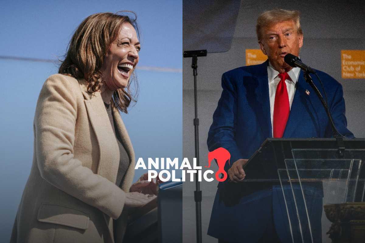 Harris y Trump se miden en su primer debate por la presidencia de Estados Unidos