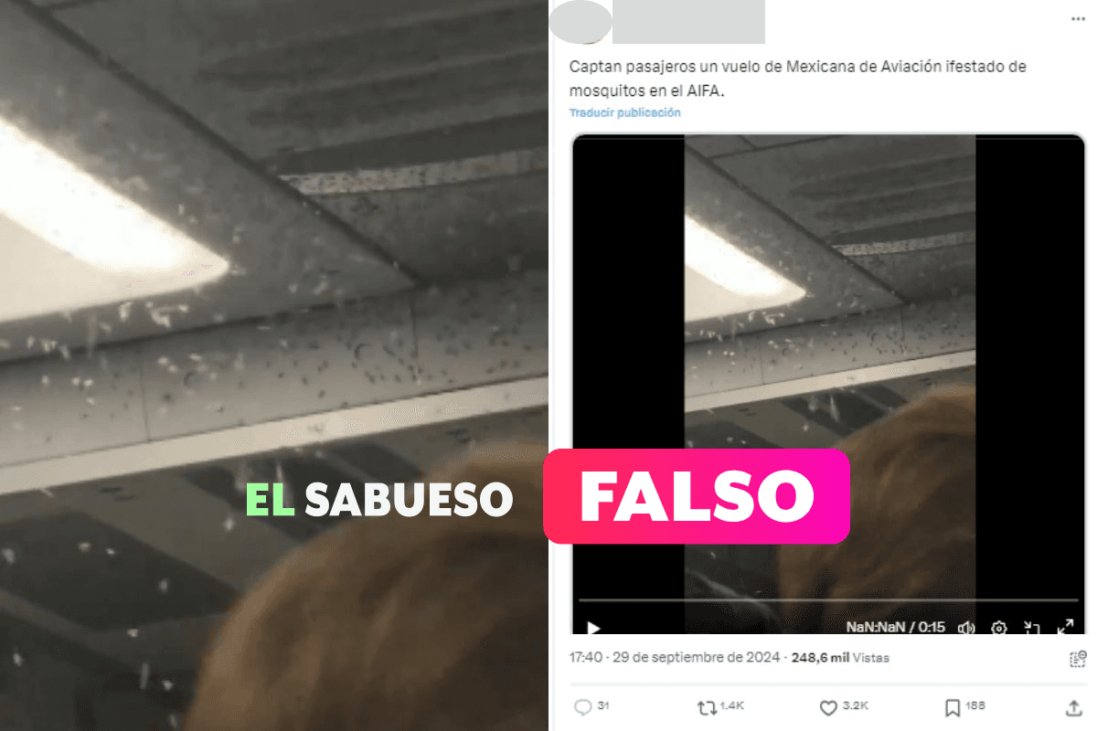 Falso que vuelo de Mexicana de Aviación se infestara de mosquitos