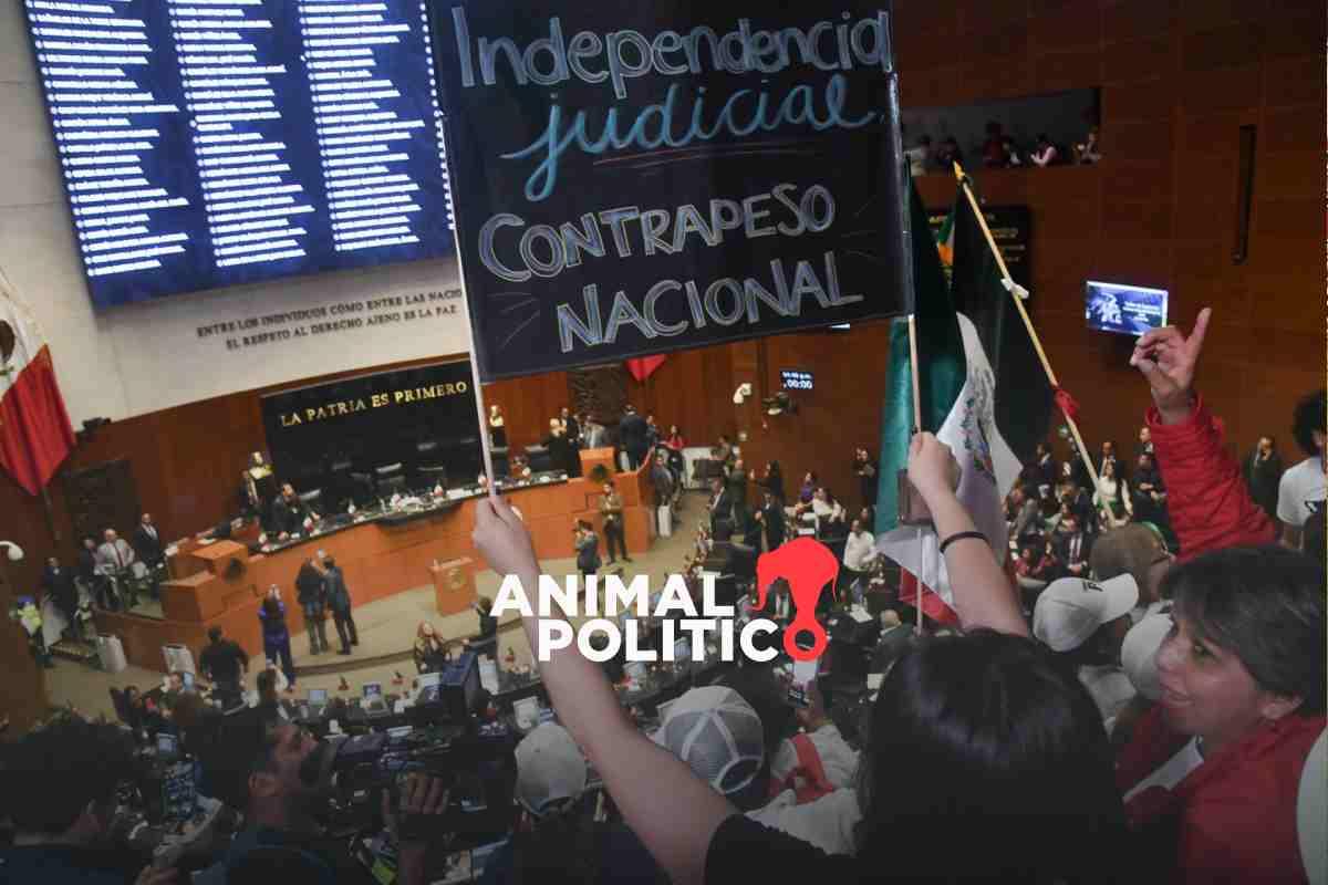 Elección de jueces en 2025: advierten riesgos de violencia e infiltración del crimen organizado