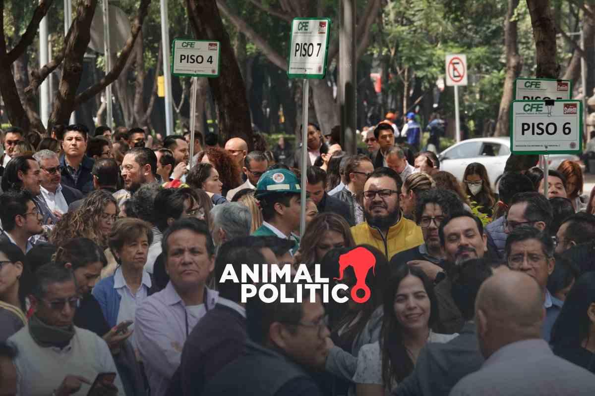 Microsismos en CDMX: Protección Civil identifica cinco fallas geológicas activas en la capital