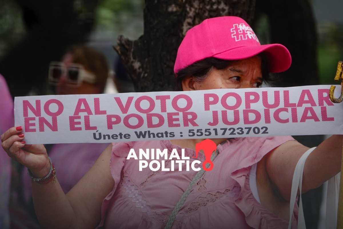 Marea Rosa exige a senadores de oposición votar en contra de reforma judicial