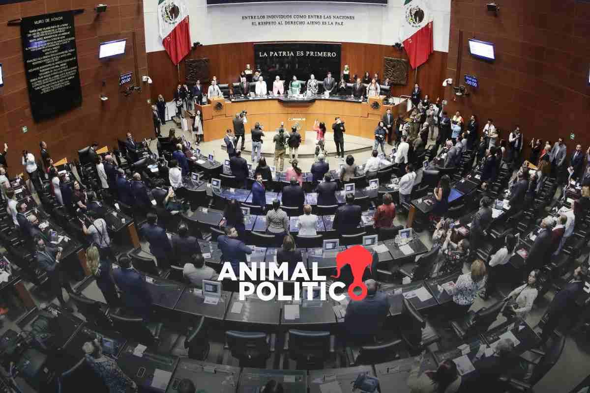 La reforma judicial es una regresión para la justicia ambiental: Cano