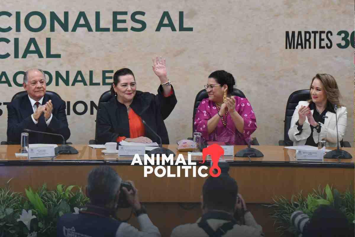 Reforma judicial: ciudadanos elegirán entre 42 mil candidatos para jueces, ministros y magistrados