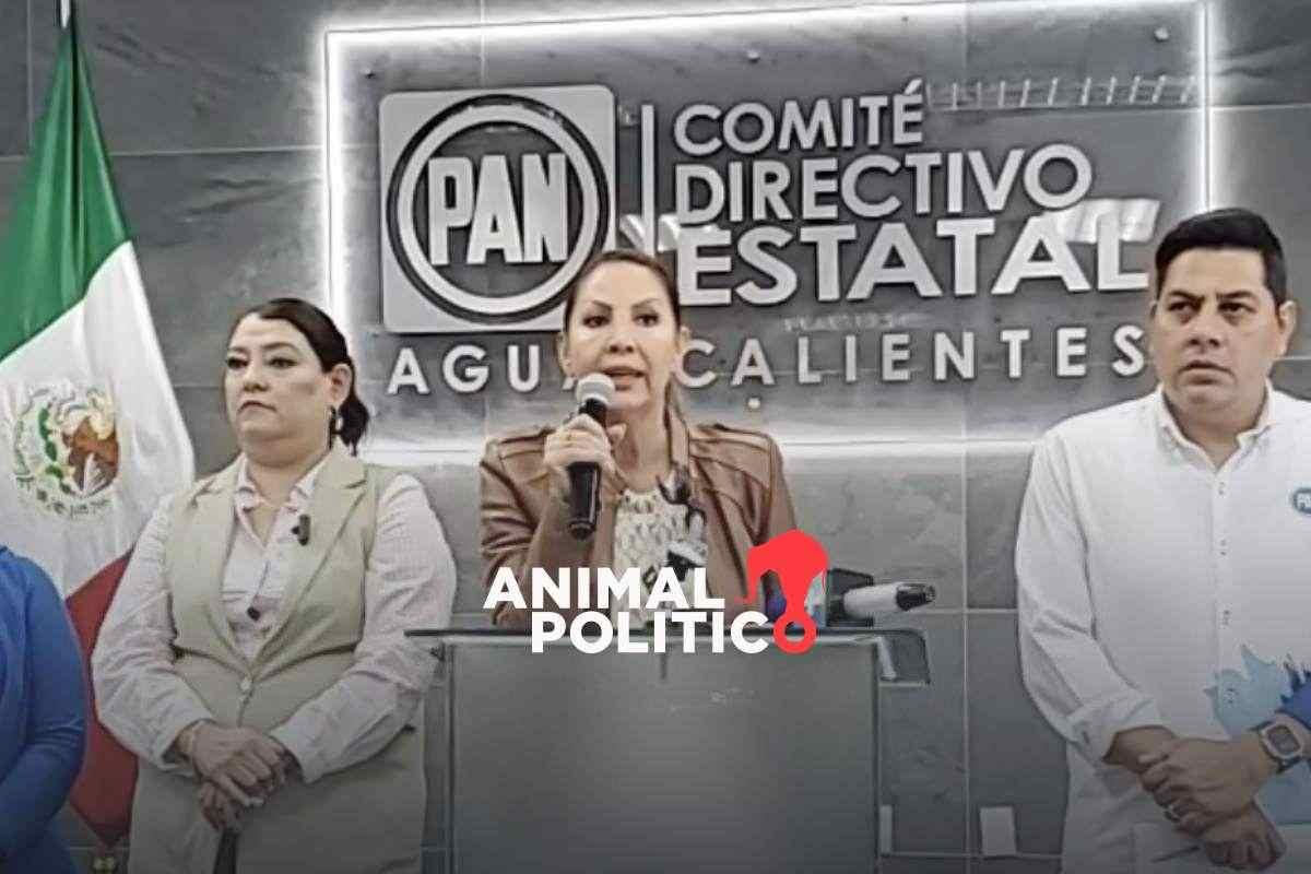 reforma-judicial-senadora-pan-pide-linchamiento