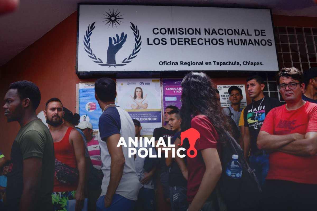 Sólo 48 aspirantes a la presidencia de la CNDH comparecerán ante el Senado tras cumplir con requisitos