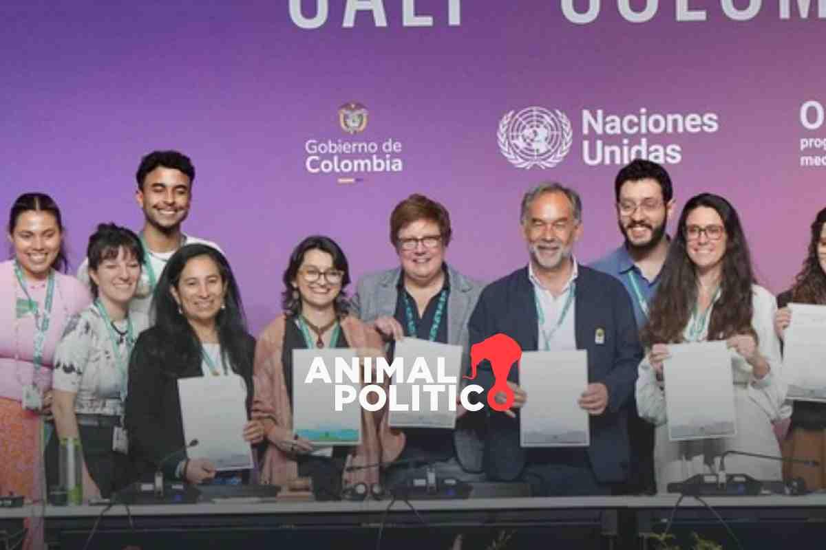 COP16: sólo 35 de 196 países presentaron sus planes de acción completos de biodiversidad