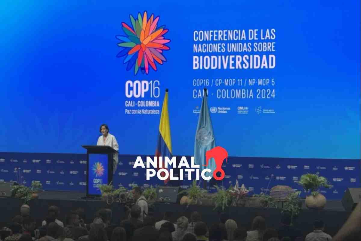 COP16 de Biodiversidad inicia con objetivo de crear fondo mundial para la conservación