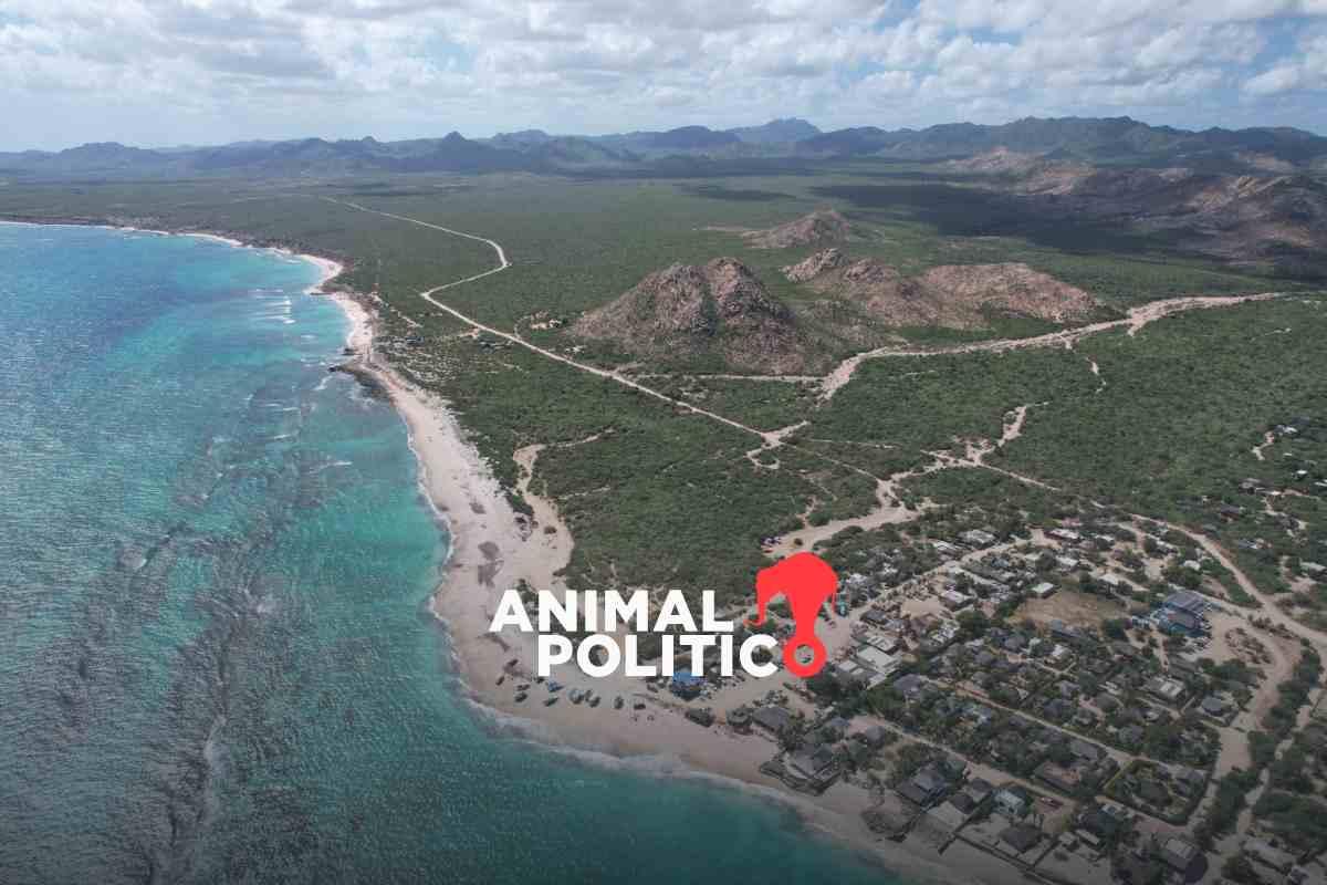 Semarnat revoca permiso para megaproyecto en área protegida en Cabo Pulmo, Baja California Sur