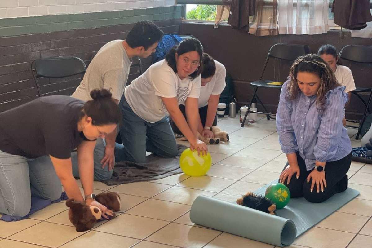 Aprende primeros auxilios para tu mascota, te contamos dónde