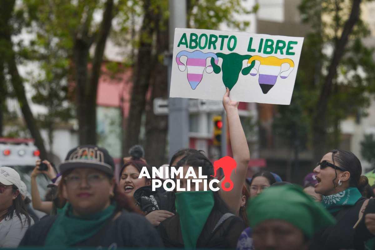 Organizaciones piden alerta de violencia de género en Aguascalientes por reformas antiaborto