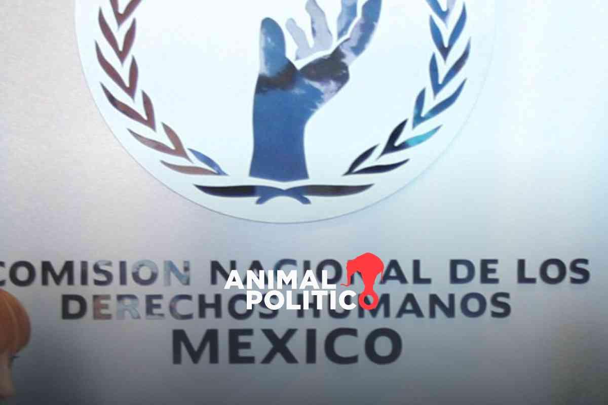 aspirantes-cndh-presidencia-rosario-piedra-nashieli-ramirez