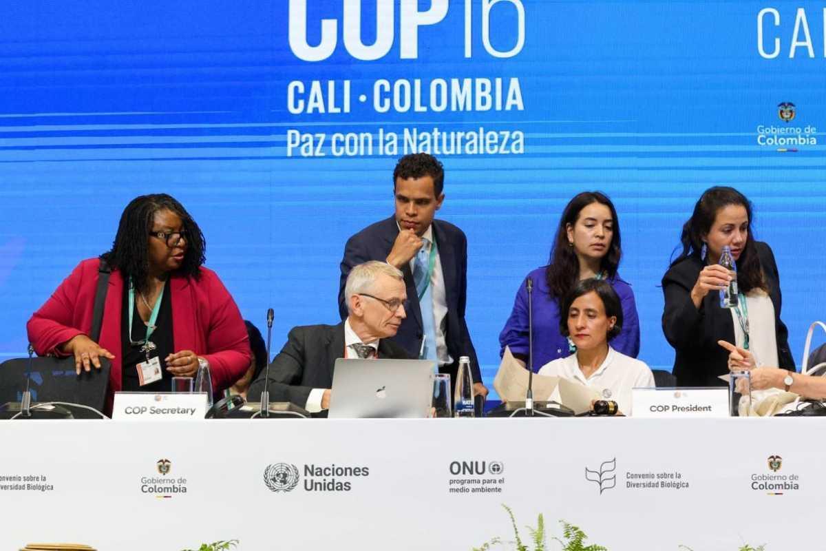 Imagen: COP 16: cinco momentos importantes que han ocurrido en los primeros días