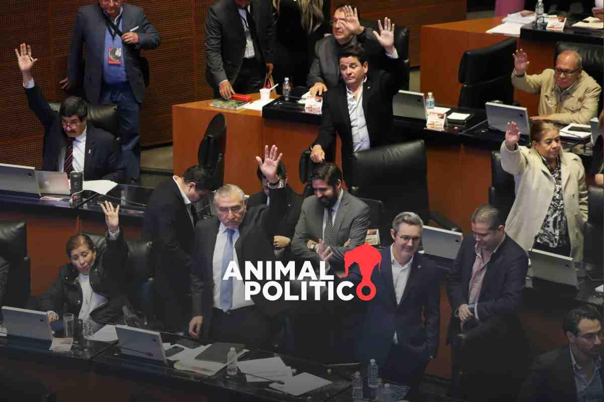 Senado acata opinión de Sheinbaum para elección de jueces, y mantiene otorgar poderes a Taddei