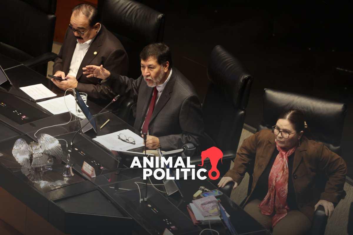 Senado excluye a 8 juezas de elección en 2025 por maternidad; podrán permanecer en el cargo