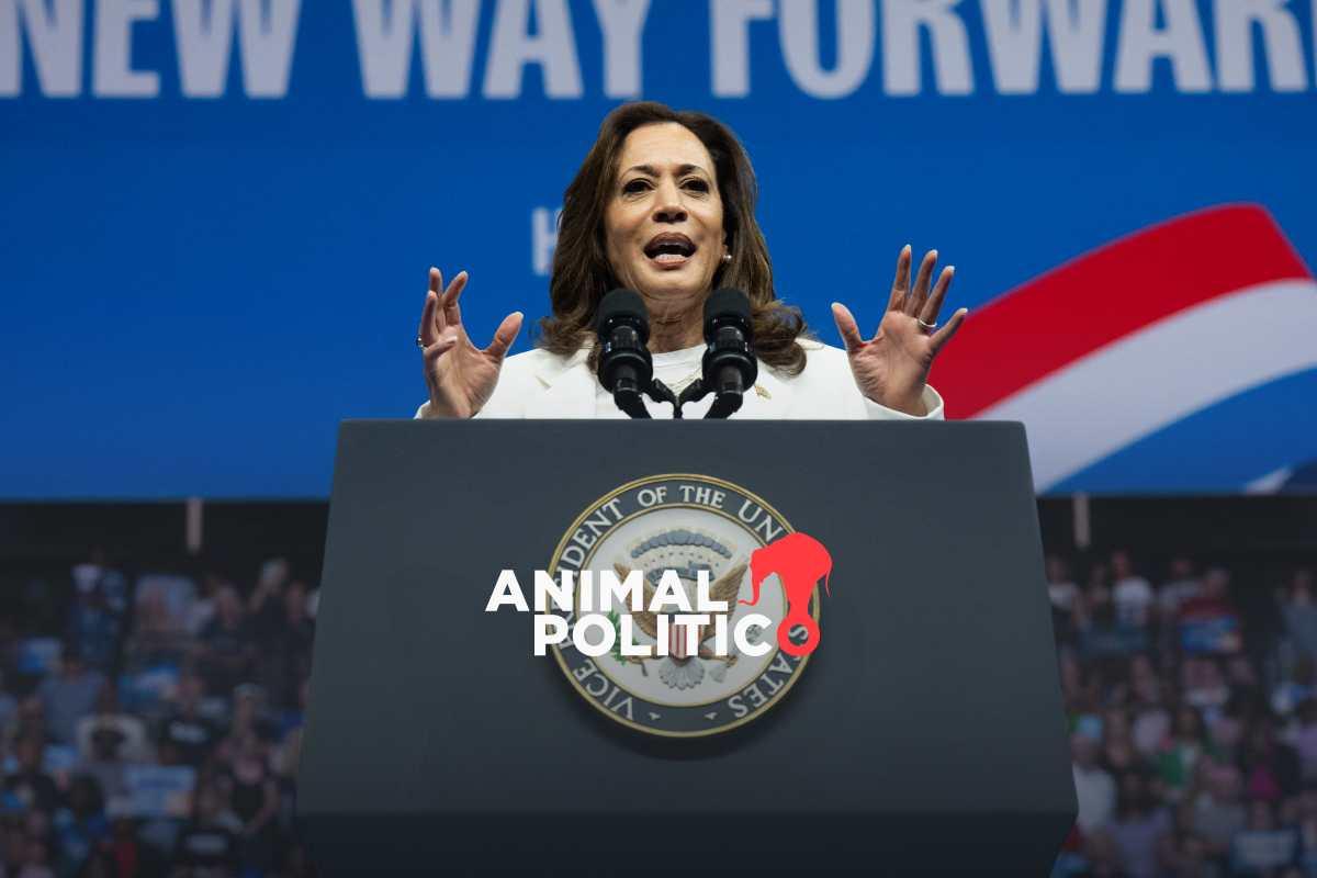 Kamala Harris felicita a Sheinbaum, pide que trabajen temas de migración, energía y economía