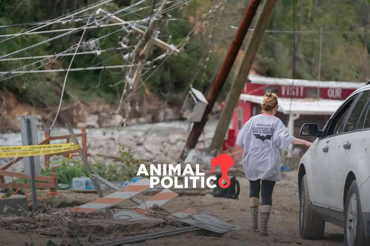 Huracán Helene deja 155 muertos y cientos de desaparecidos en Estados Unidos