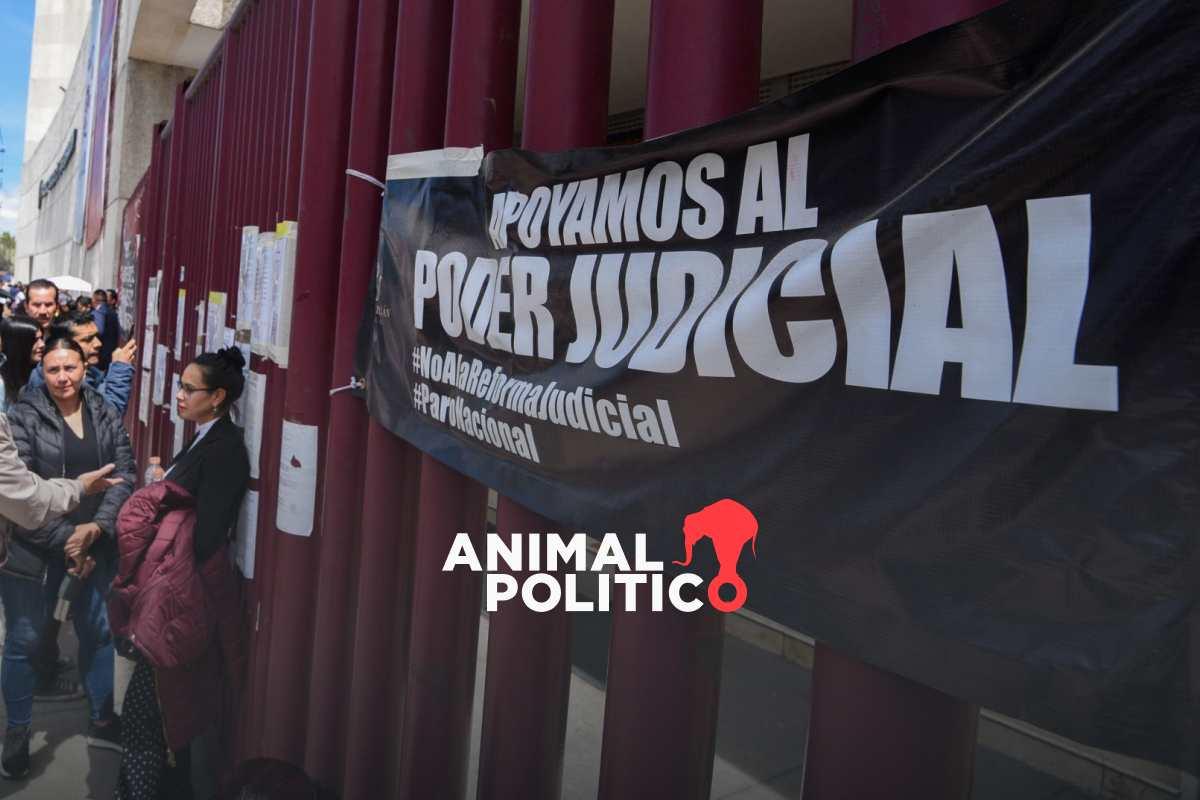 Jueces y magistrados federales votan por mantener paro de labores en el Poder Judicial