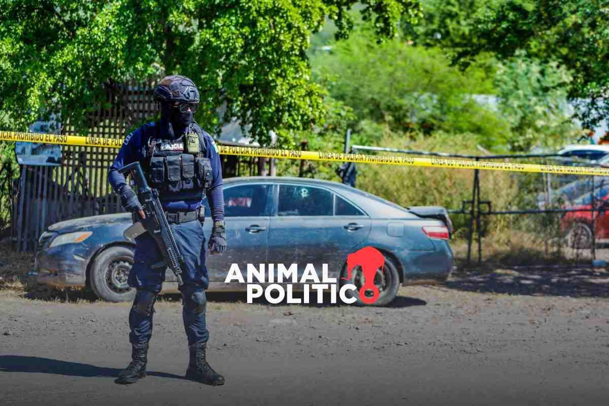 Policías de Culiacán regresan a las calles tras un mes inactivos por revisión de armas y exámenes de confianza