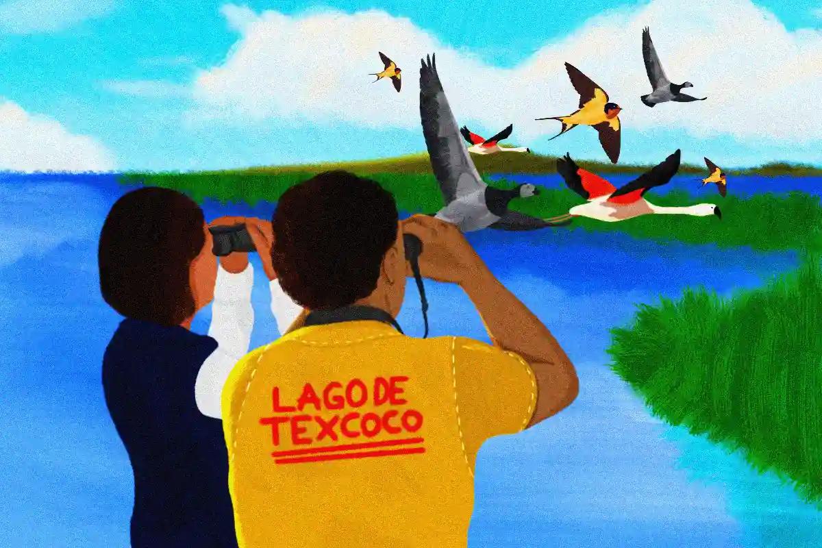 Los guardianes del Lago de Texcoco: conoce a las brigadas que protegen y restauran el humedal