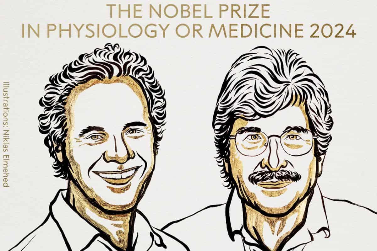 Victor Ambros y Gary Ruvkun ganan Nobel de Medicina 2024 por avances en la regulación de los genes