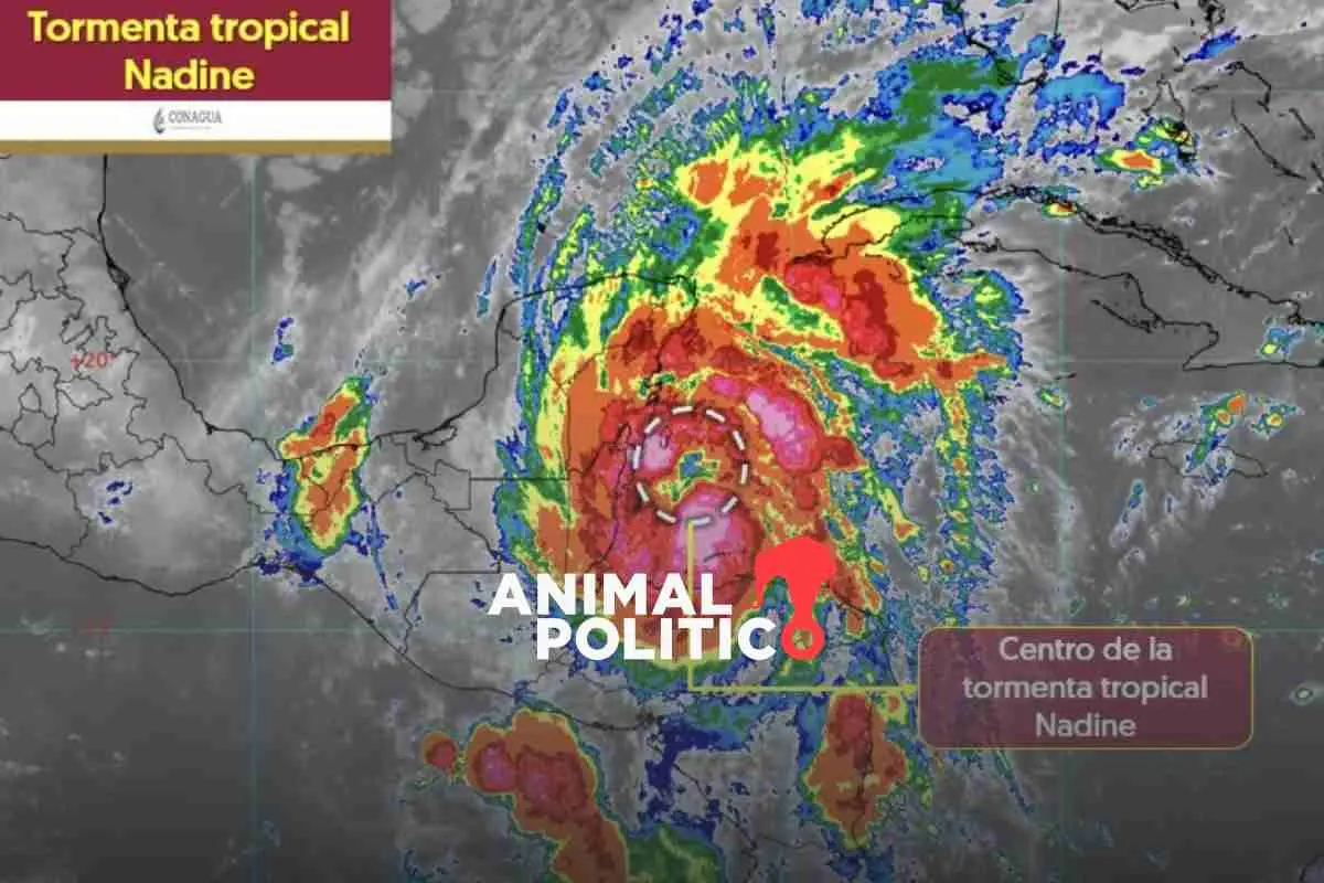 Prevén impacto de tormenta tropical Nadine en Belice; provocará lluvias torrenciales en México