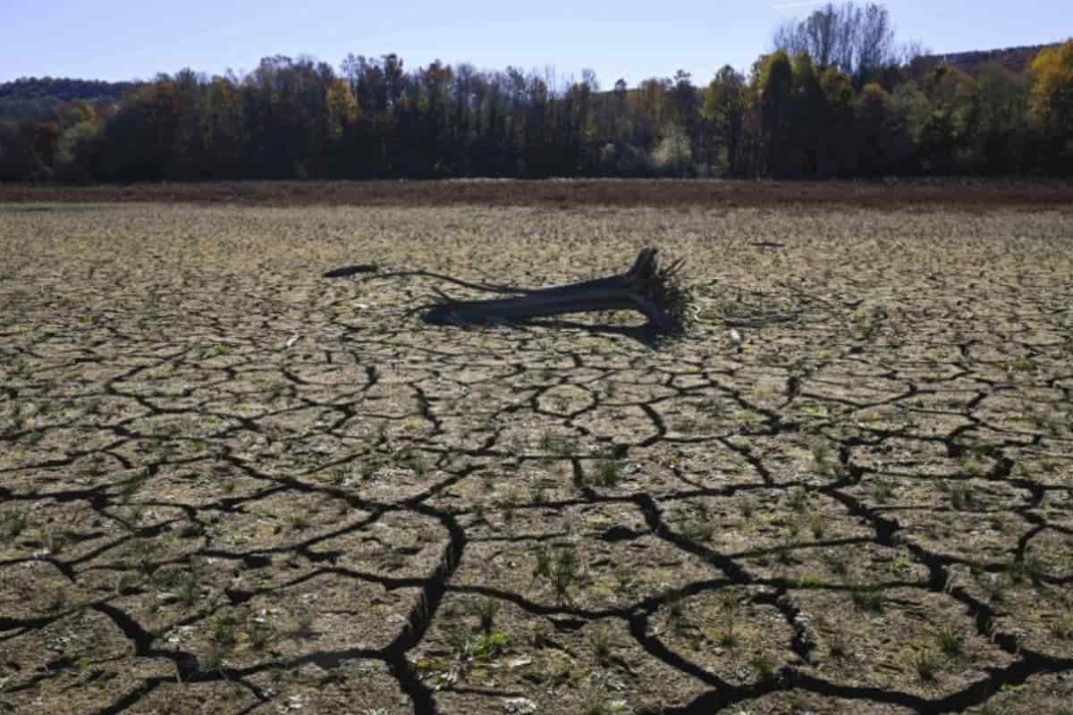 Científicos señalan que el 2024 podría el año más cálido, superando al año anterior