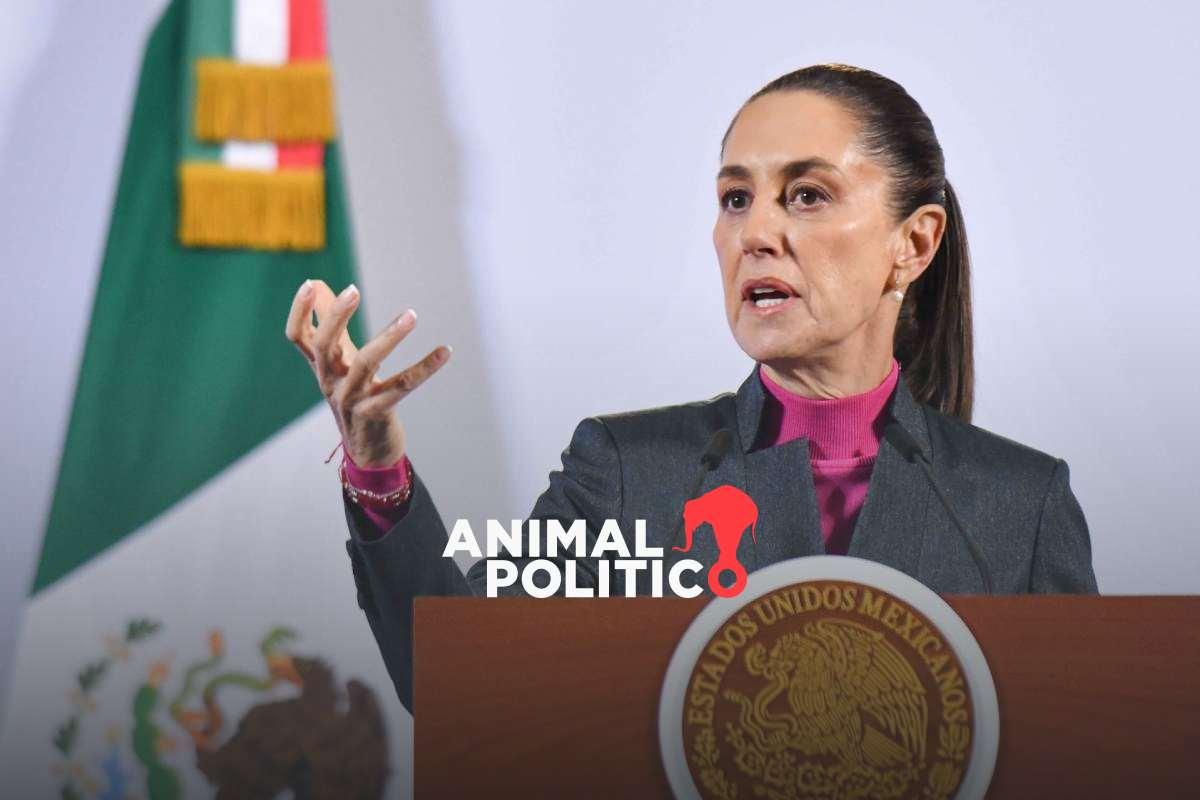 Gobierno de Sheinbaum prevé recorte a órganos autónomos para destinar dinero a cultura y educación 