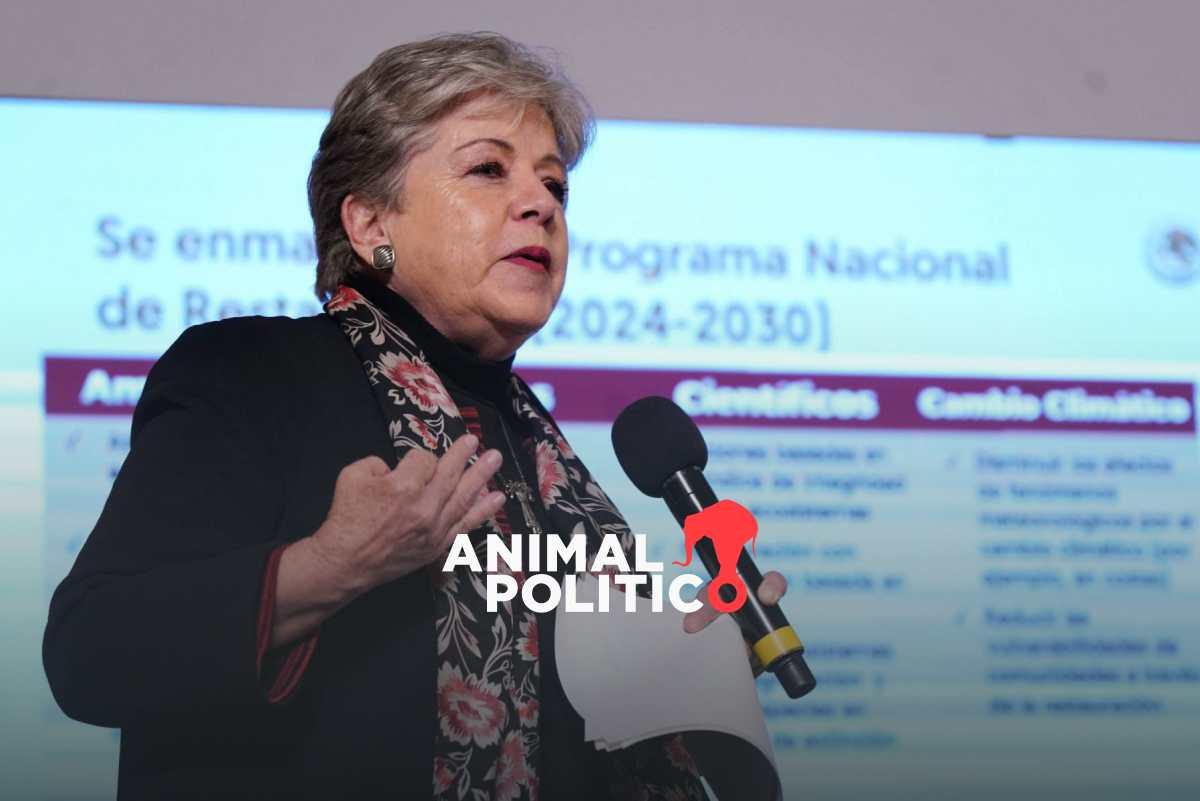 COP 16: Alicia Bárcena intenta reposicionar la agenda ambiental de México en foros internacionales