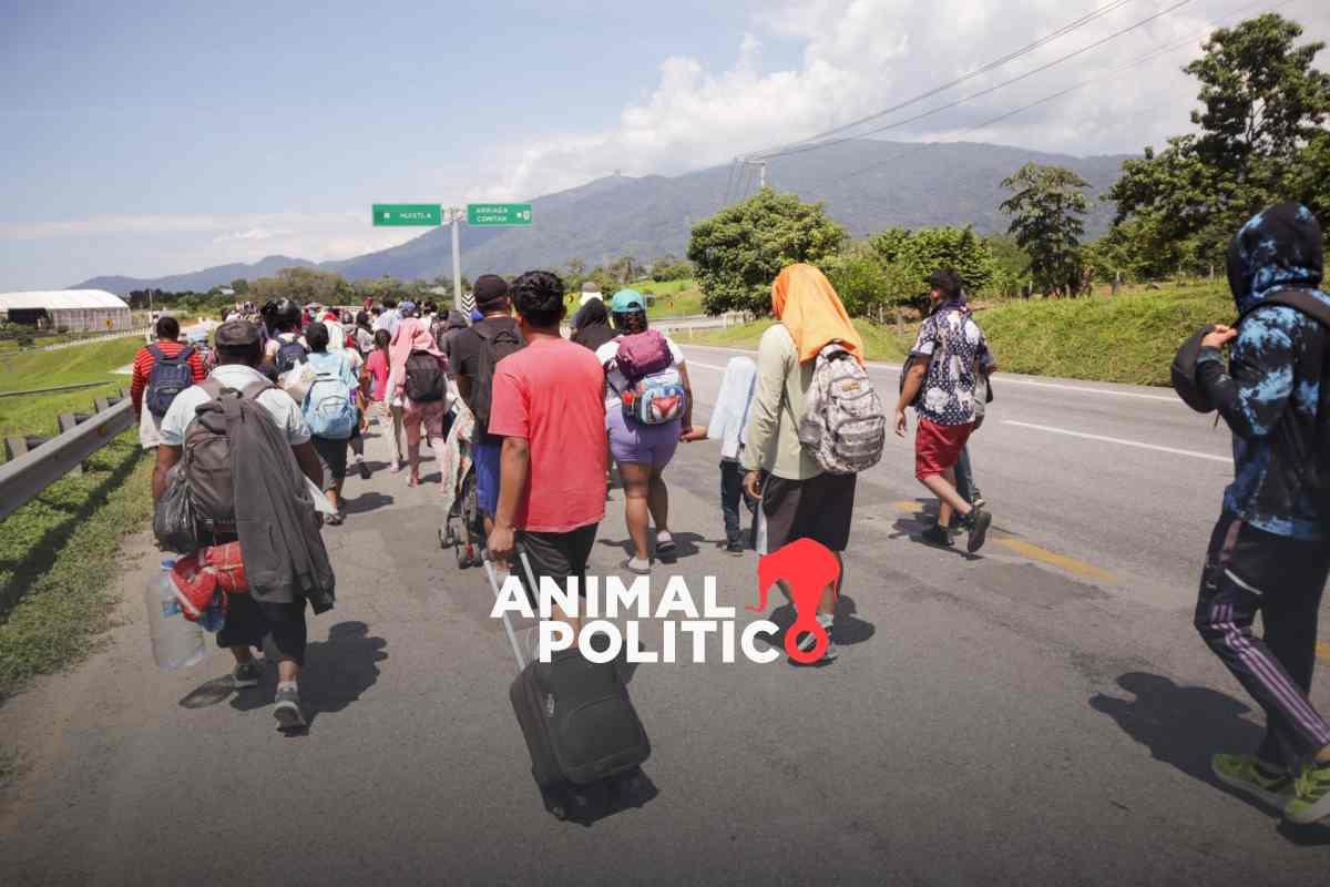 Caravana con al menos 2 mil 500 migrantes sale de Tapachula, Chiapas, rumbo a CDMX