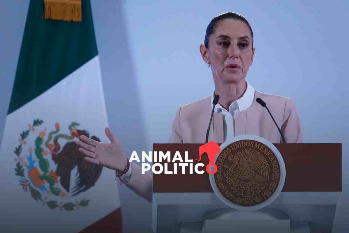 Desaparición del INAI: gobierno de Sheinbaum promete transparencia, pero mantiene desactualizados datos sobre Pemex y vacunas