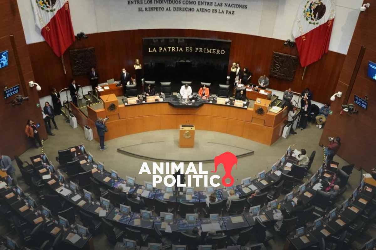 Senado arranca discusión para eliminar el INAI y otros seis organismos autónomos