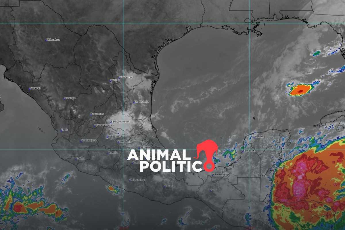 tormenta-tropical-sara-estados-afectados