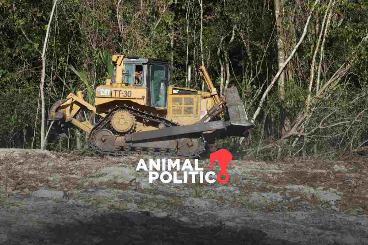 Comisión del T-MEC pide a México responder sobre impacto ambiental del “Tren Fantasma” en Sonora