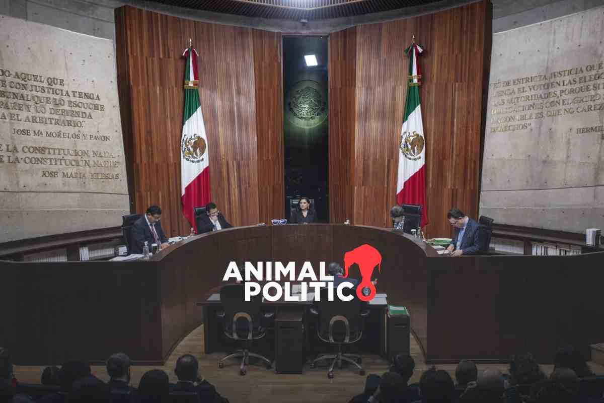 tribunal-electoral-ine-eleccion-judicial