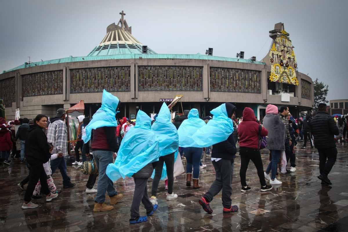 ‘Peregrinotón’: la iniciativa para apoyar a los asistentes a la Basílica de la Virgen de Guadalupe