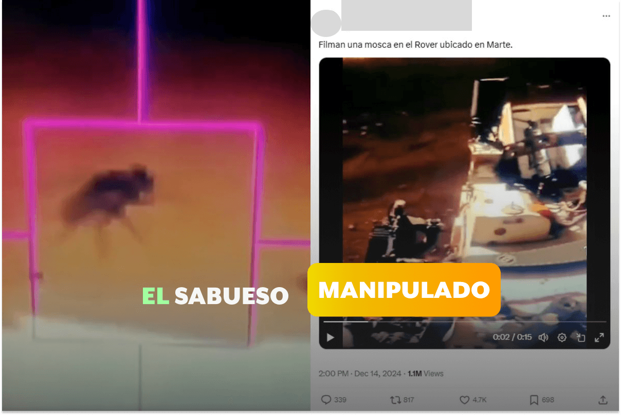 ¿Grabaron una mosca en Marte? No, la imagen está manipulada