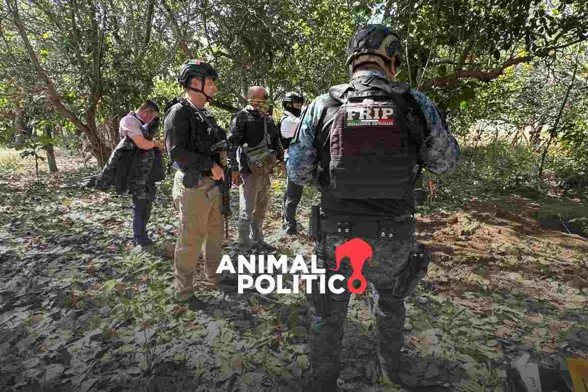 Localizan al menos 15 cuerpos en fosas clandestinas en la región Frailesca, en Chiapas