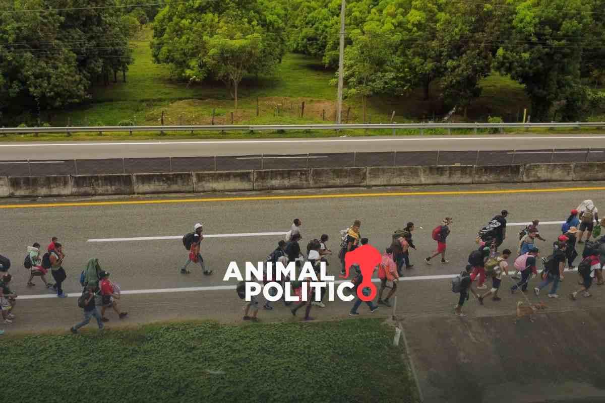 Gobierno de Sheinbaum alista estrategia ante posible deportación masiva de migrantes 