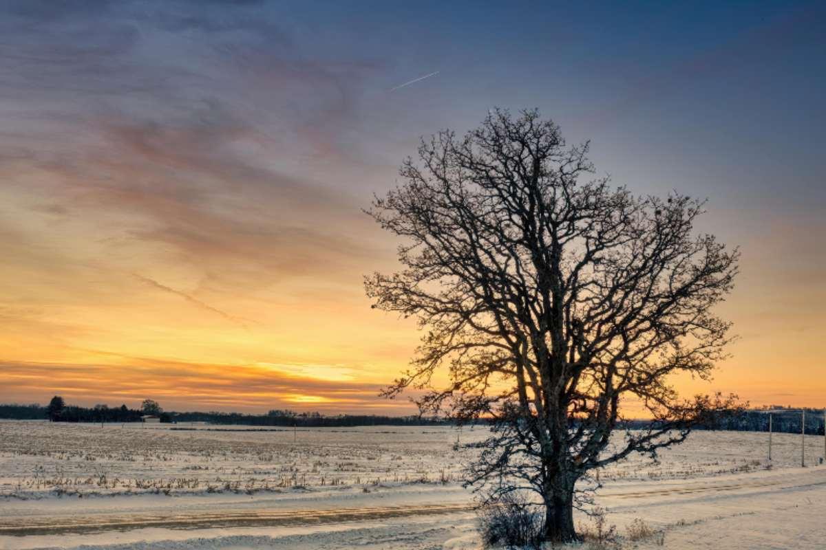 ¿Qué es y cuándo empieza el solsticio de invierno en México 2024?