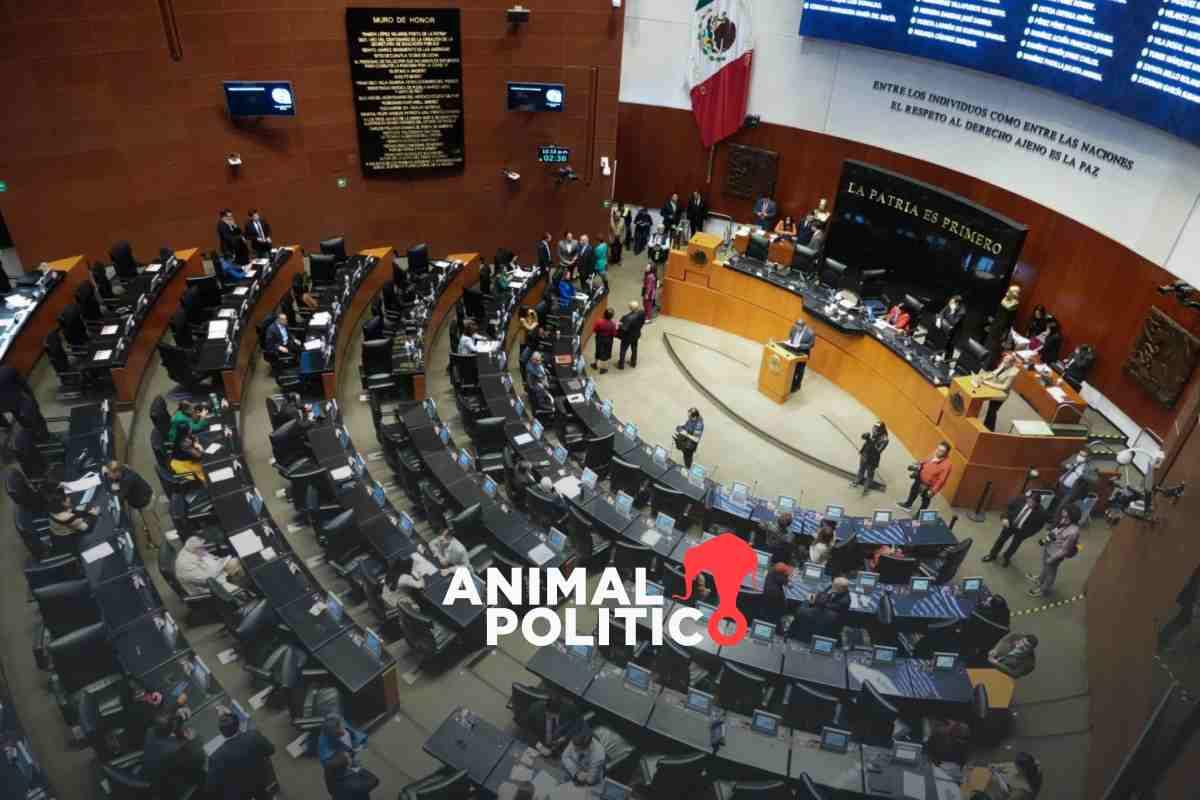 senado-primer-periodo-intenso-y-sin-peso-de-la-oposicion-aprueban-mas-de-30-paquetes-de-reformas-y-leyes