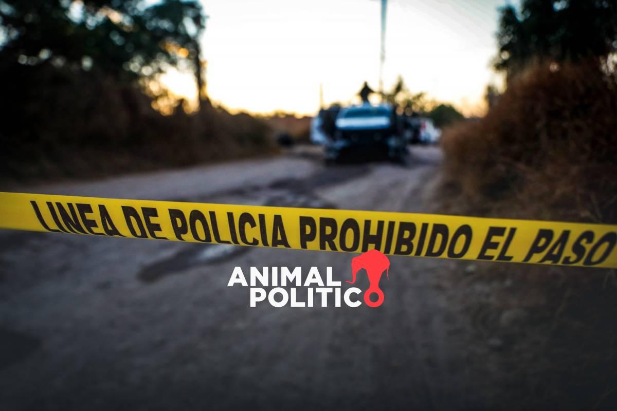 Tres meses de violencia en Sinaloa: suman 530 homicidios y 623 personas desaparecidas