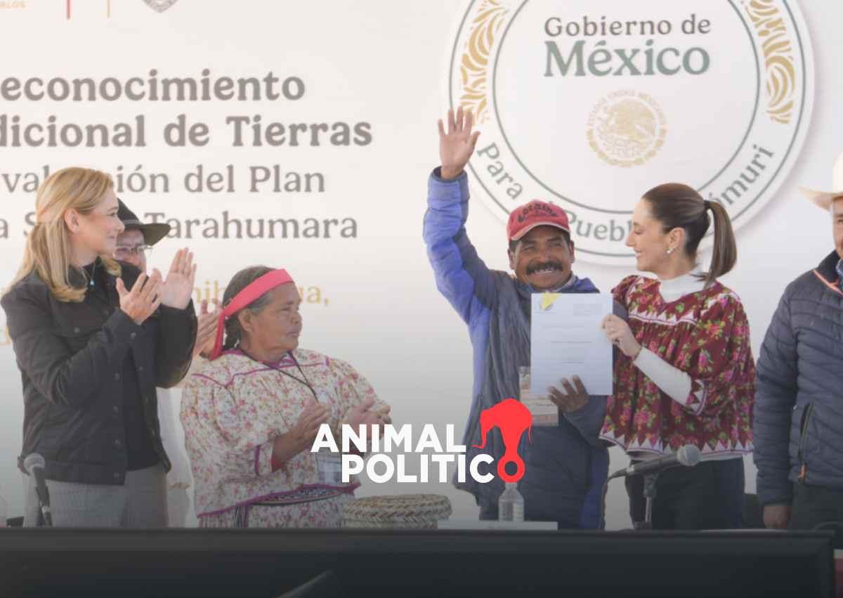 tierras-comunidades-raramuri-sheinbaum-sierra-tarahumara