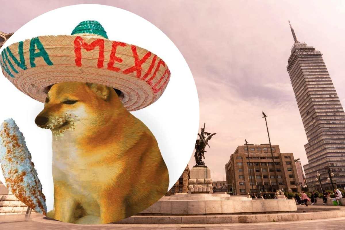 Cheems, el perrito del meme llega a la CDMX en esta exposición imperdible