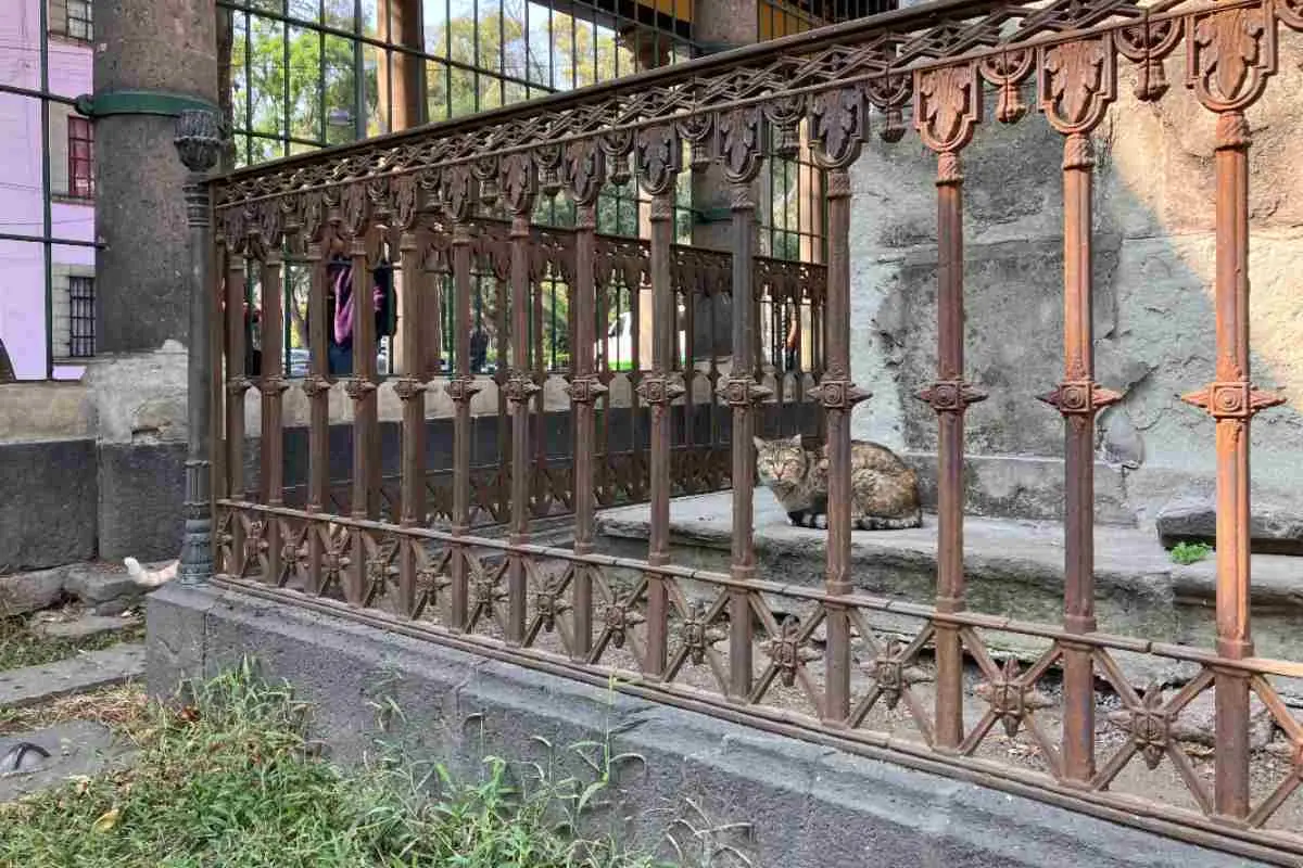 ¡Catacumberitos vuelven al Museo Panteón San Fernando! Activistas y secretarías llegan a un acuerdo