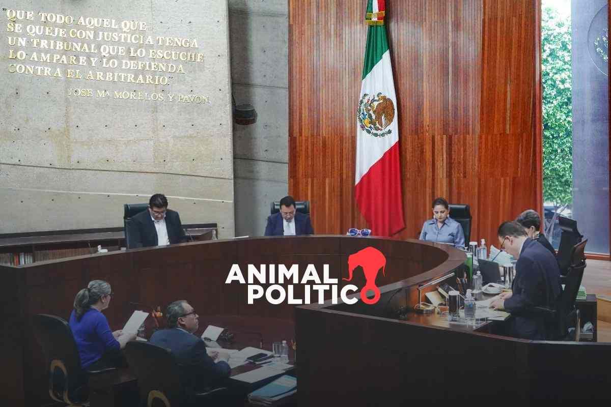 Tribunal Electoral debe proteger derechos de aspirantes al Poder Judicial, dice Sheinbaum ante suspensión de actividades de comité