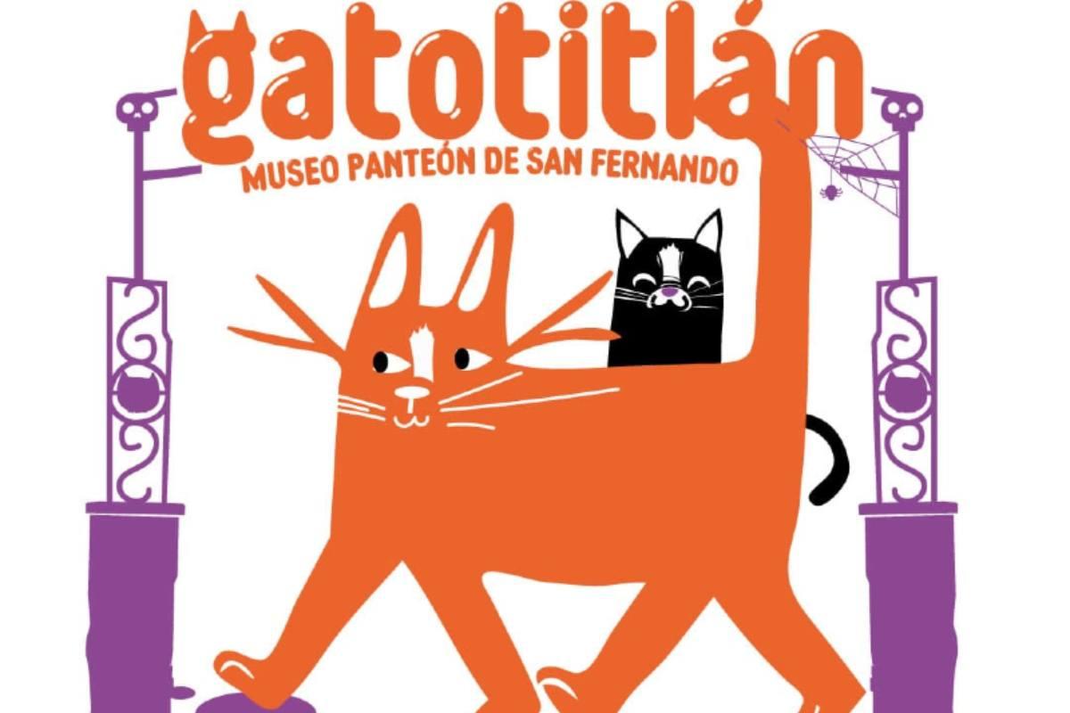 Festival Gatotitlán: ayuda a los gatitos del Panteón de San Fernando