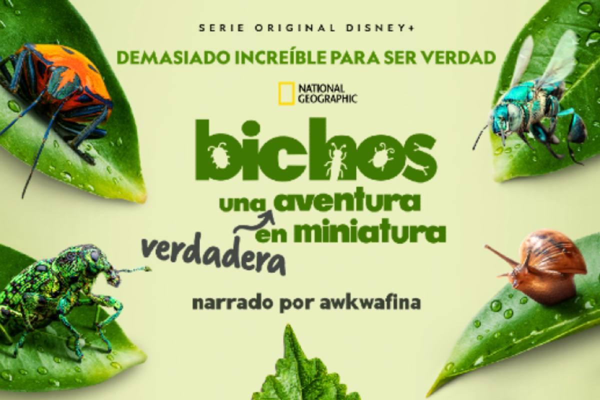 bichos-una-verdadera-aventura-en-miniatura-entrevista