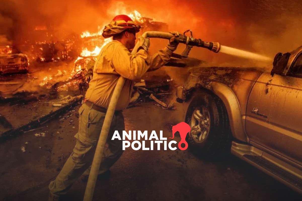 crisis-incendios-latinoamerica-emergencia-los-angeles